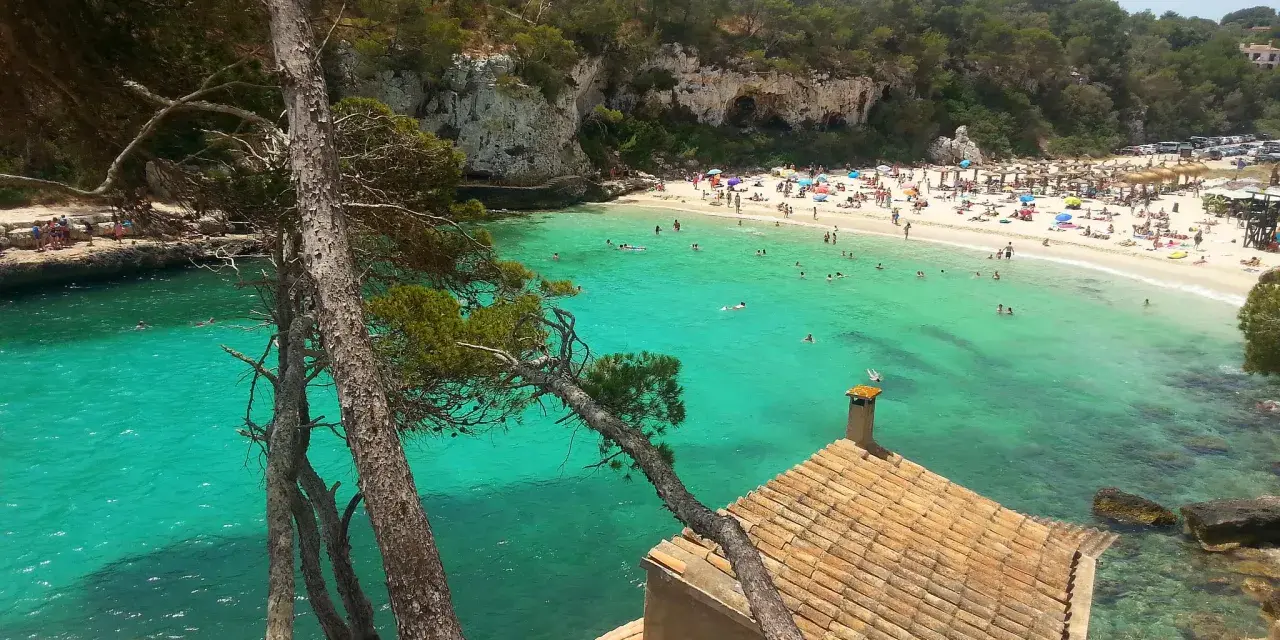 Piękne majorka plaże z turkusową wodą, skalistymi klifami i sosnami. W oddali widać tłum plażowiczów i mały domek z ceglanym dachem.