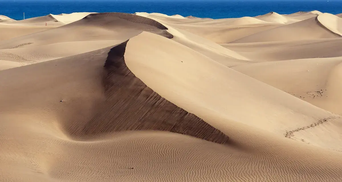 Pofaśne wydmy Maspalomas tworzą pustynny krajobraz, gdzie piasek faluje ku błękitnemu oceanowi.