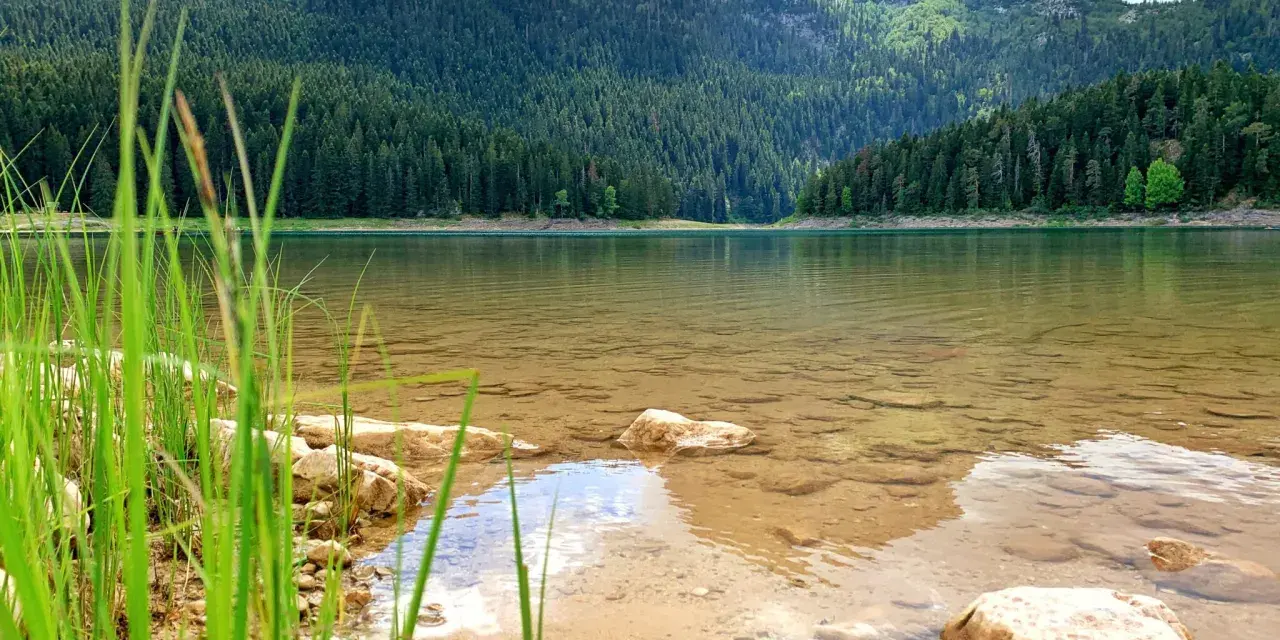 Spokojne jezioro w Durmitor National Park, otoczone gęstym lasem iglastym i majestatycznymi górami.