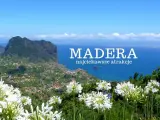 Madera w październiku zachwyca zielenią i białymi kwiatami. Widok na ocean i góry.