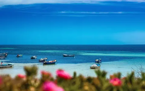 Łodzie kołyszą się na turkusowej wodzie, a w oddali widać linię brzegową. Tak właśnie wygląda Djerba, gdzie leży ta malownicza plaża.