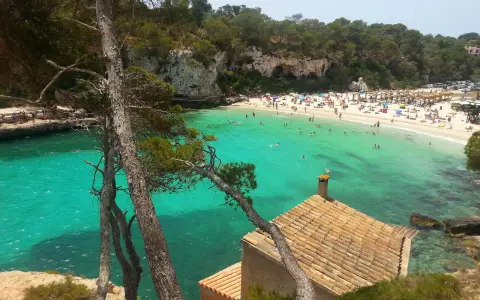 Piękne majorka plaże z turkusową wodą, skalistymi klifami i sosnami. W oddali widać tłum plażowiczów i mały domek z ceglanym dachem.