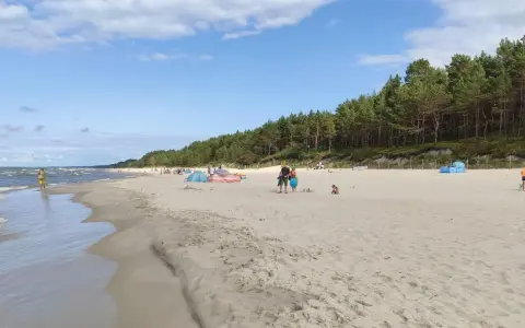Słoneczny dzień na piaszczystej plaży, z lasem sosnowym w tle. Ludzie odpoczywają, bawią się i spacerują wzdłuż linii brzegowej. Idealne miejsce na relaks nad morzem.