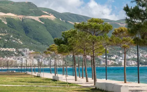 Wlora, Albania: nadmorska promenada z drzewami i widokiem na miasto u podnóża zielonych wzgórz.
