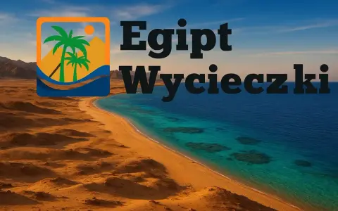 Egipt we wrześniu to idealna pogoda na wycieczki nad Morze Czerwone. Piękna plaża, palmy i turkusowa woda.