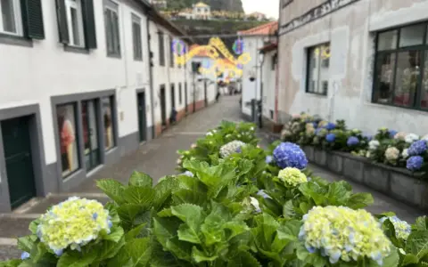 Kwiaty w Sao Vicente, Madera, ozdabiają uliczkę z kolorowymi światłami w tle.