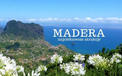 Madera w październiku zachwyca zielenią i białymi kwiatami. Widok na ocean i góry.