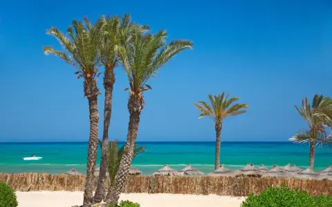 Palmy nad turkusowym morzem, idealna pogoda Djerba. Słoneczny dzień na plaży z łódką na wodzie.