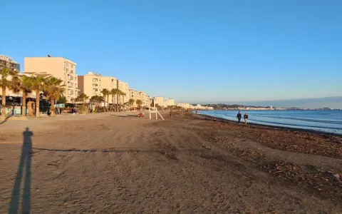 Plaża w Albanii, z palmami i budynkami w tle, idealna na spacer. Klimat sprzyja relaksowi nad morzem.