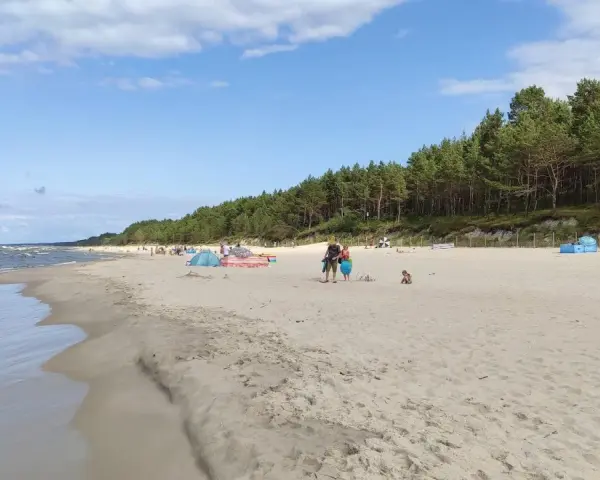 Słoneczny dzień na piaszczystej plaży, z lasem sosnowym w tle. Ludzie odpoczywają, bawią się i spacerują wzdłuż linii brzegowej. Idealne miejsce na relaks nad morzem.