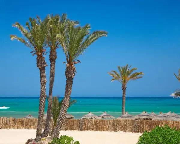 Palmy nad turkusowym morzem, idealna pogoda Djerba. Słoneczny dzień na plaży z łódką na wodzie.