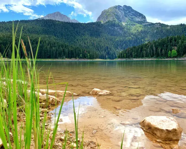 Spokojne jezioro w Durmitor National Park, otoczone gęstym lasem iglastym i majestatycznymi górami.