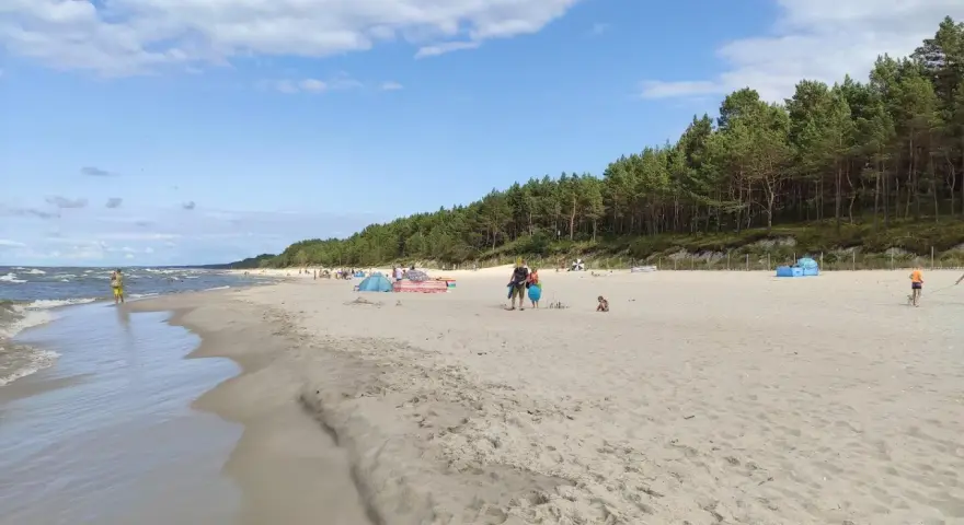 Słoneczny dzień na piaszczystej plaży, z lasem sosnowym w tle. Ludzie odpoczywają, bawią się i spacerują wzdłuż linii brzegowej. Idealne miejsce na relaks nad morzem.