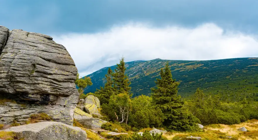 Góry Karkonosze, Czechy, co warto zobaczyć blisko granicy: skalne formacje, lasy i szczyty. Idealne miejsce na wędrówkę.