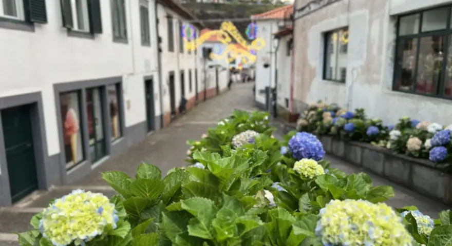 Kwiaty w Sao Vicente, Madera, ozdabiają uliczkę z kolorowymi światłami w tle.