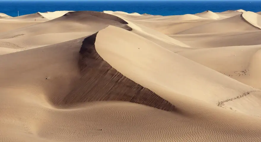 Pofaśne wydmy Maspalomas tworzą pustynny krajobraz, gdzie piasek faluje ku błękitnemu oceanowi.