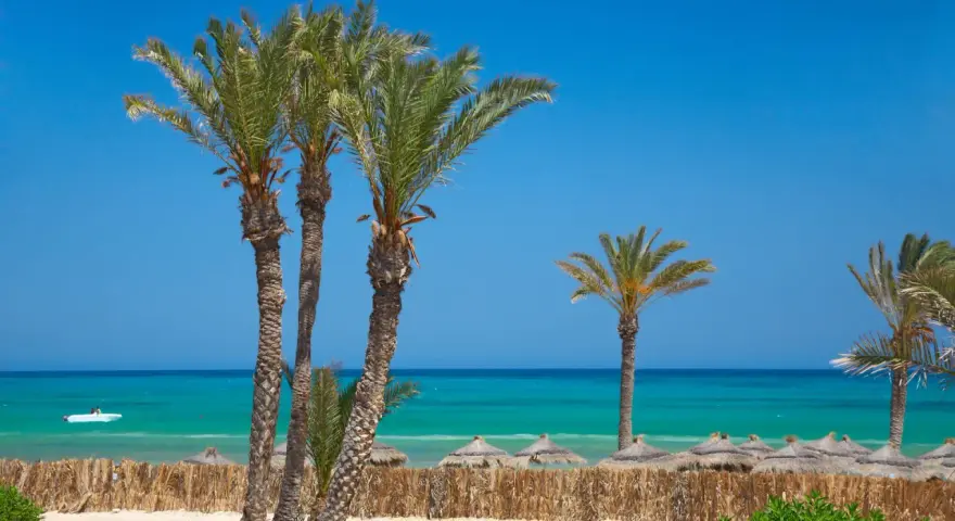 Palmy nad turkusowym morzem, idealna pogoda Djerba. Słoneczny dzień na plaży z łódką na wodzie.