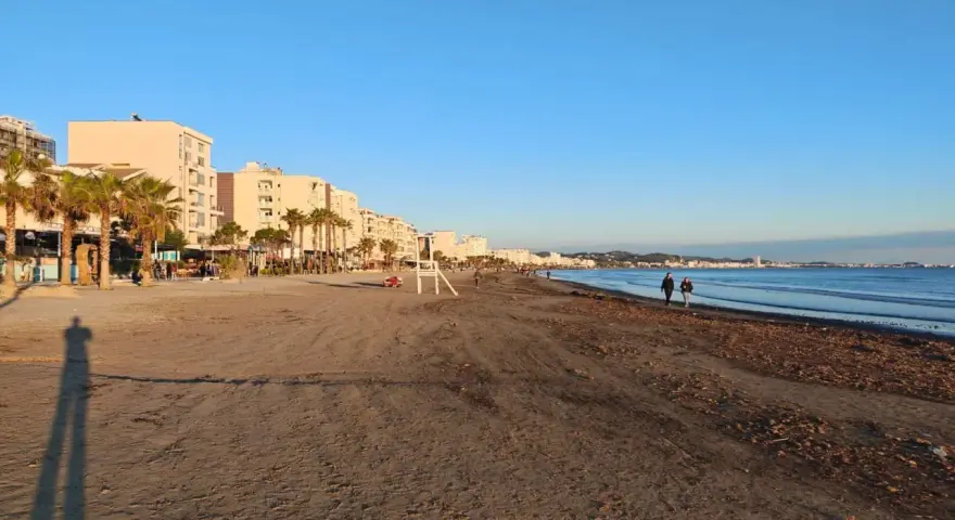 Plaża w Albanii, z palmami i budynkami w tle, idealna na spacer. Klimat sprzyja relaksowi nad morzem.