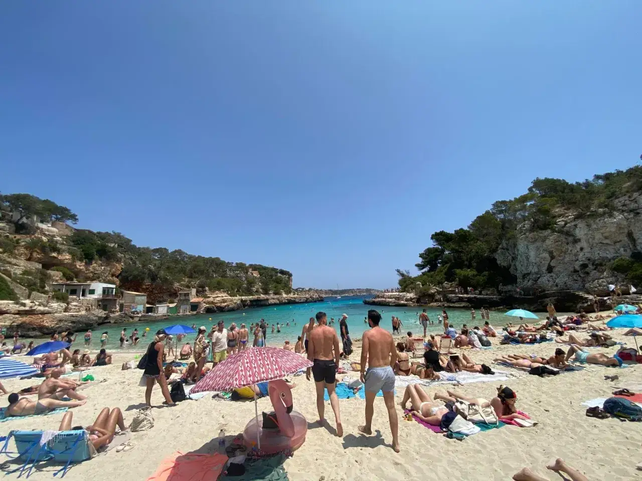 Słoneczna majorka pogoda na plaży. Tłumy ludzi opalają się i kąpią w turkusowej wodzie.