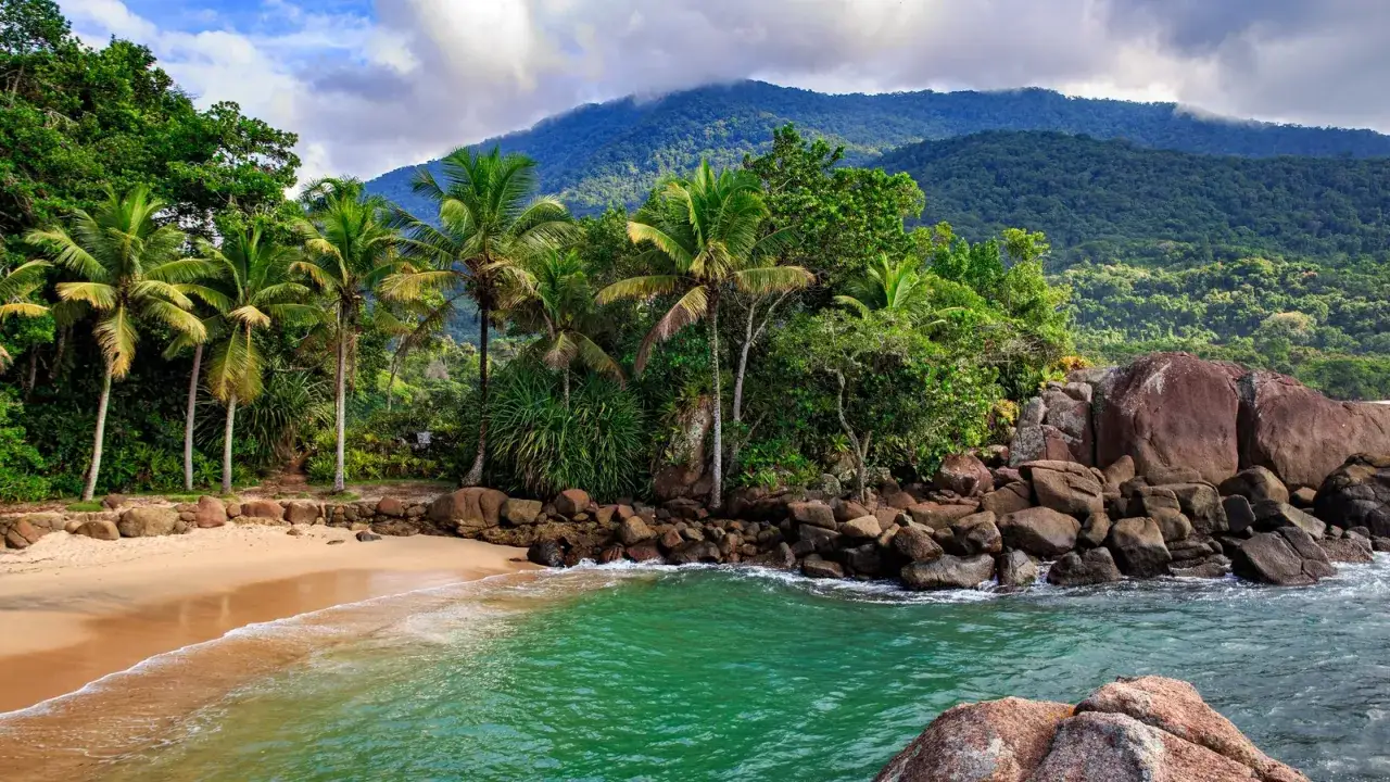 Rajska nordeste playa z palmami, piaszczystą plażą i turkusową wodą. W tle g&oacute;ry porośnięte dżunglą.